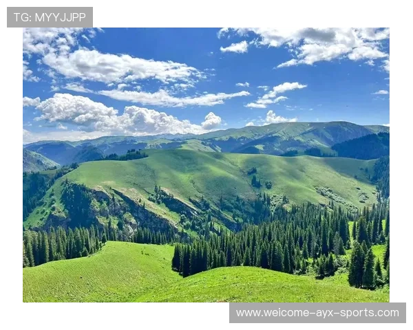 学习新语｜新疆七十年的语言与风景
